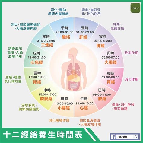 十二經絡如何記憶